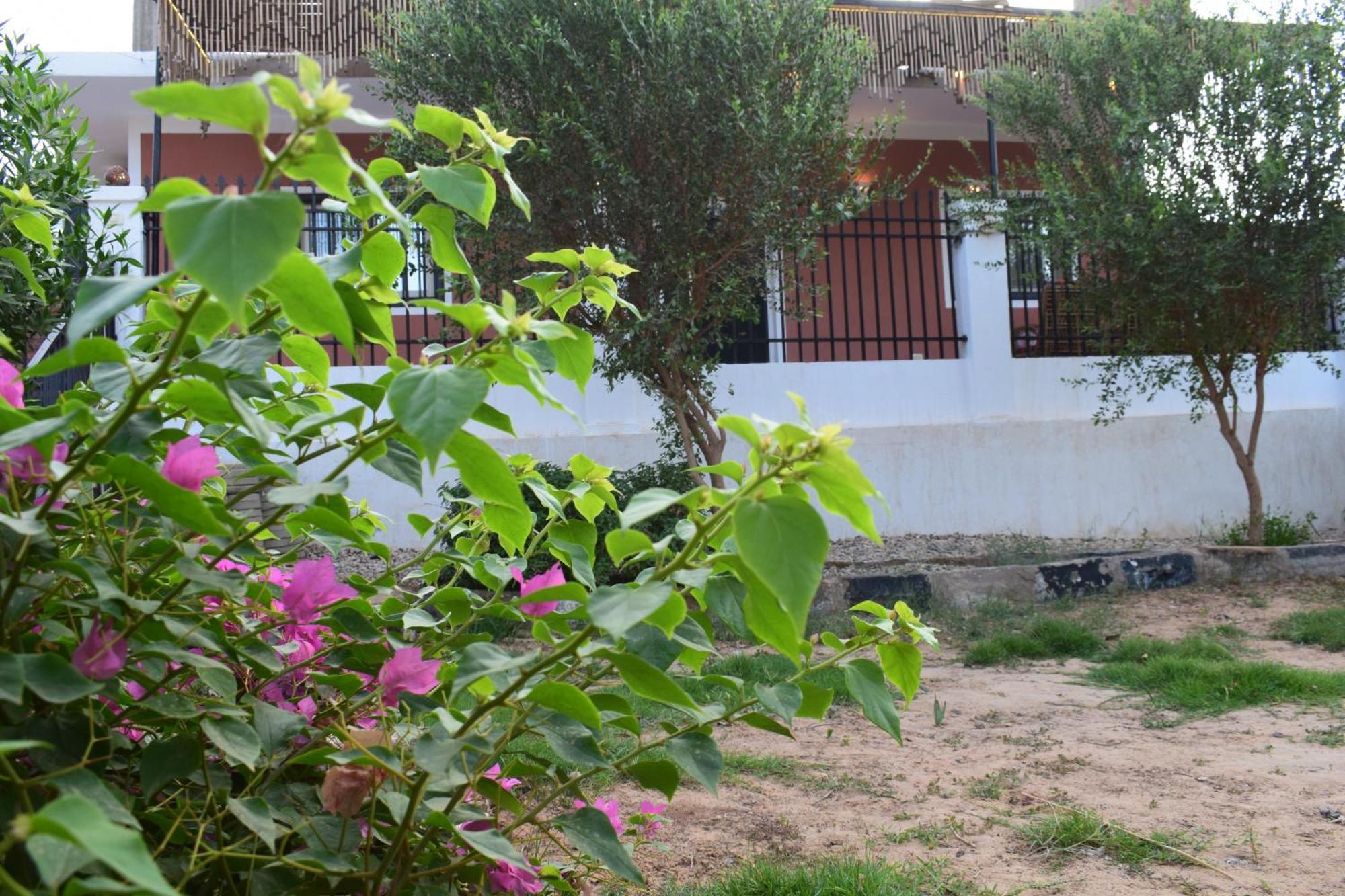 Villa Karma Kono Abu Simbel Exterior foto